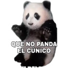 Que no panda el cunico