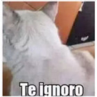 Te ignoro