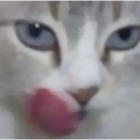 Sticker #027256