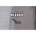 Wiiii