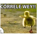 CORRELE WEY!