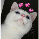 Sticker #103875