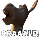 ORAAALE!