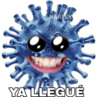 Ya llegué