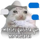 Embeces quisiera que me hablaras