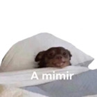 A mimir