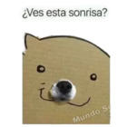 ¿Ves esta sonrisa?