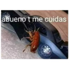 Abueno t me cuidas