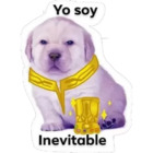 Yo soy inevitable