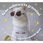 Si no existiera la gravedad mi autoestima seguiría cayendo igual