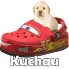Kuchau