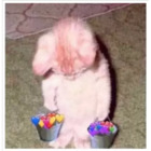 Sticker #348572
