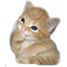 Sticker #359721