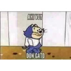 AHI VOY DON GATO