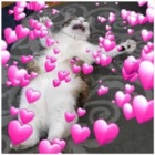 Sticker #365866