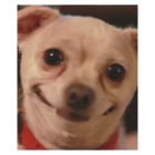 Sticker #366357