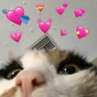 Sticker #384290