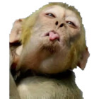 Sticker #422826