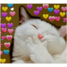 Sticker #423637