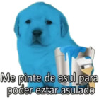Me pinte de azul para poder estar azulado
