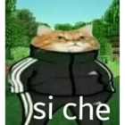 Si che