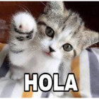 Hola