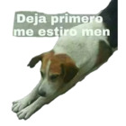 Deja primero me estiro men