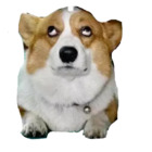 Sticker #488531