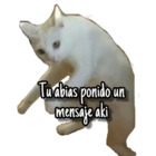 Tu avías puesto un mensaje aquí