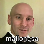 Mallonesa