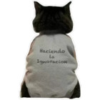 Haciendo Ignoracion