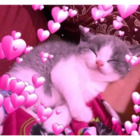 Sticker #539512