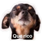Que rico