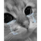 Sticker #540593