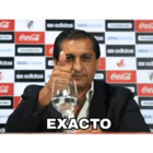 Exacto