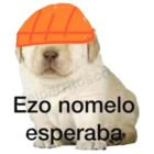 Ezo nomelo esperaba