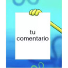 Tu comentario