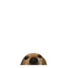 Sticker #579774