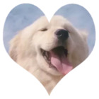 Sticker #595132