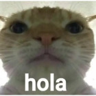 Hola