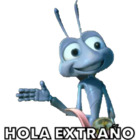 Hola extraño