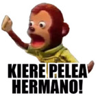 KIERE PELEA HERMANO!