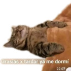 Gracias x tardar ya me dormí