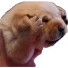 Sticker #626167