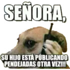 Señora su hijo está publicando pendejadas otra vez!!!