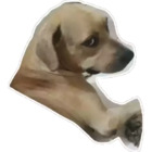 Sticker #657494