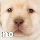 No