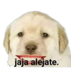 Jaja alejate