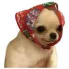 Sticker #674984