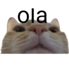 Hola